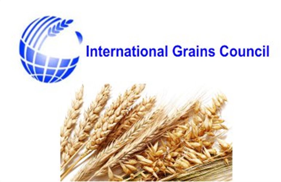 IGC: Ρεκόρ παραγωγής φέτος στα δημητριακά ελέω καλαμποκιού